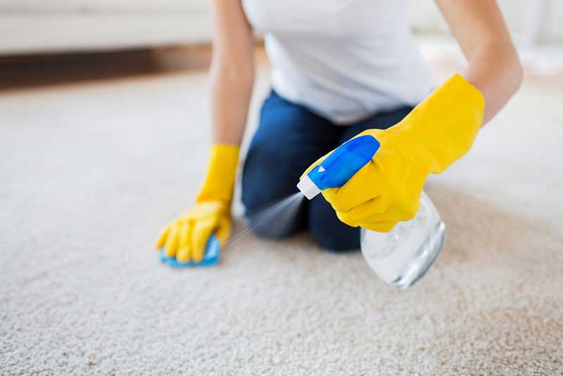 تمیز کردن موکت با شامپو فرش